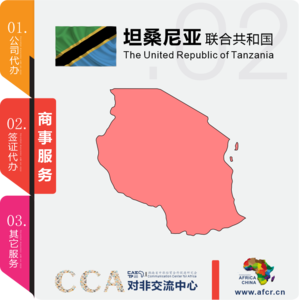 坦桑尼亚商事服务