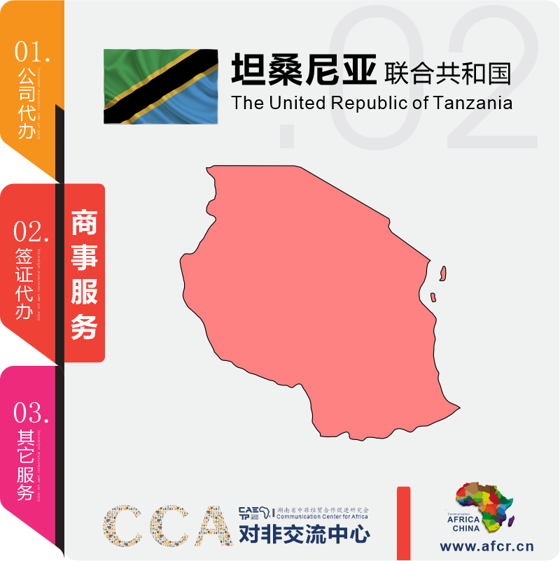 坦桑尼亚商事服务